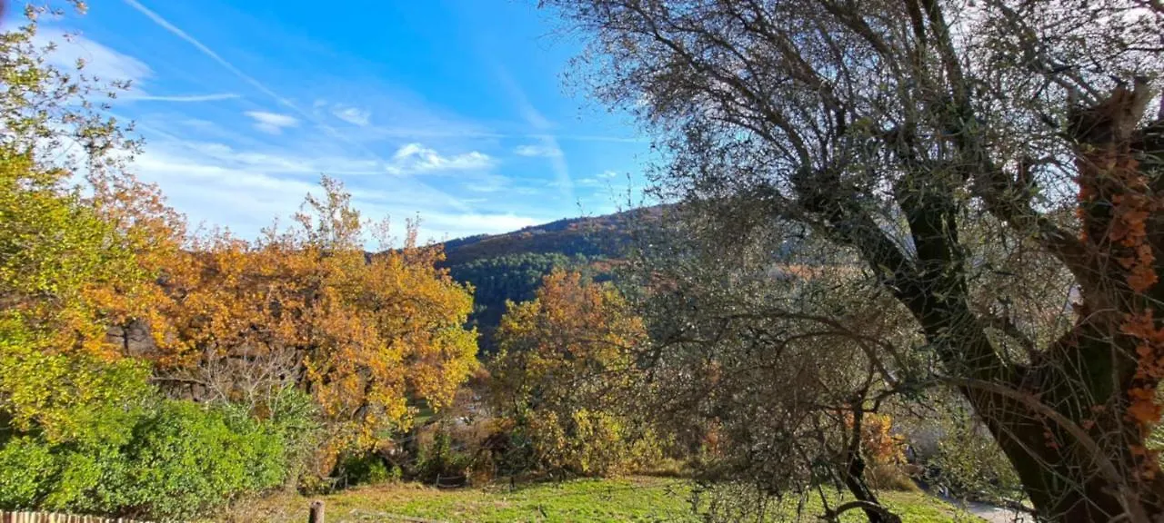 Quiet And Nature Holiday Home On The Cote Dazur Le Bar-sur-Loup France